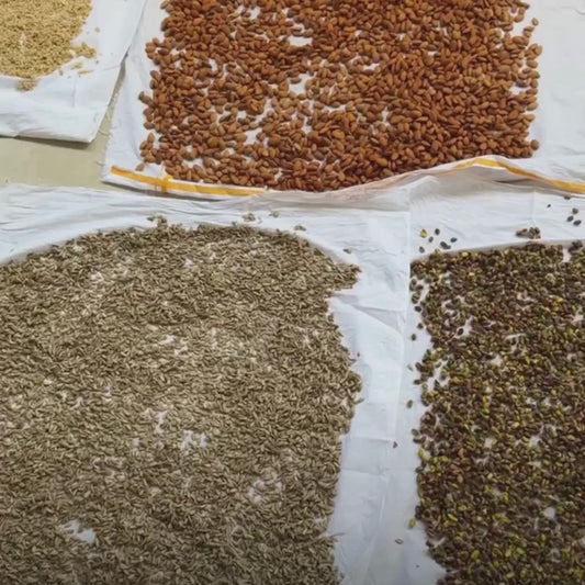 Roasted & Salted Dry Fruit Mix